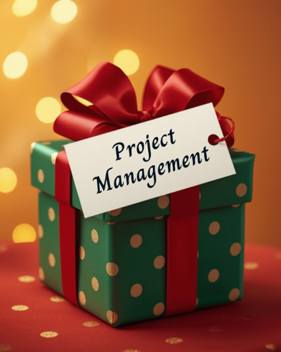 The Project Manager’s Final Boss Level